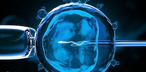 第二代试管婴儿成功率有多高