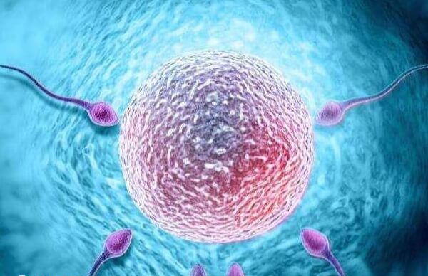 第三代试管婴儿怎么做