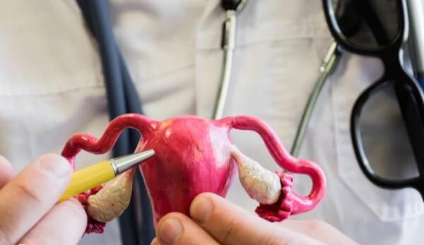 卵巢早衰做试管成功率多少