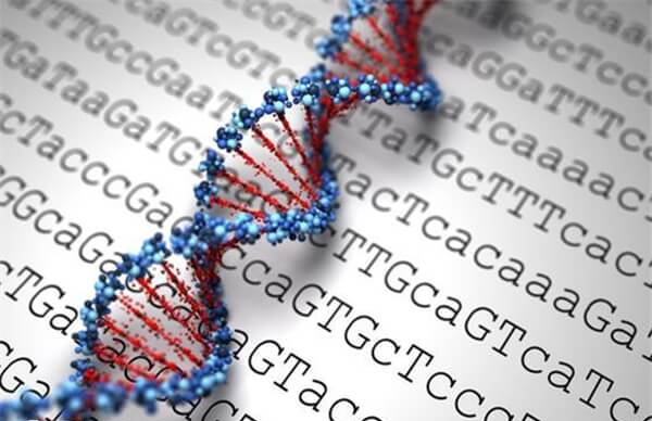 染色体不正常对生育有什么影响