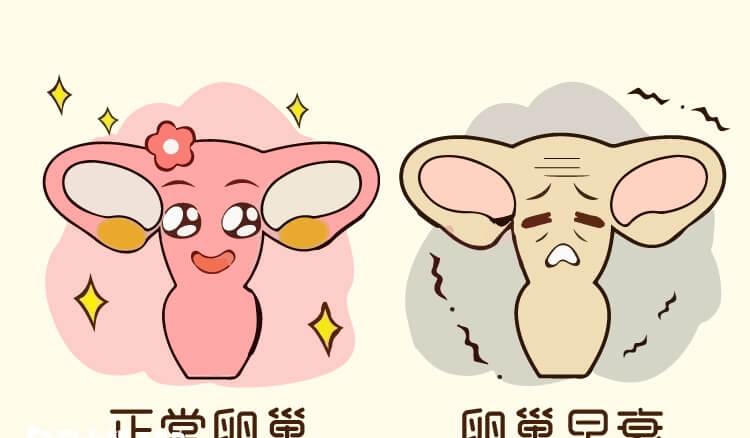 年轻做试管婴儿的成功率是不是高