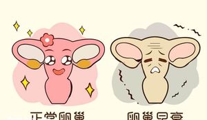 年轻做试管婴儿的成功率是不是高