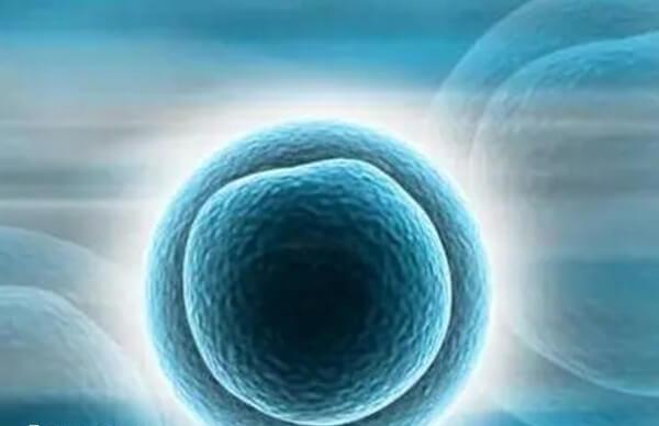 卵泡圆形变椭圆是不是要排了