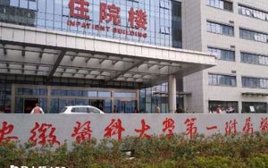 右医附院试管婴儿成功率多少