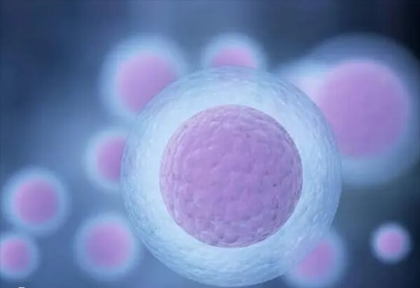 试管促排长方案卵泡是不是长得慢