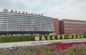 南昌试管婴儿成功率多少