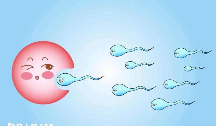 备孕男性怎么培养好精子