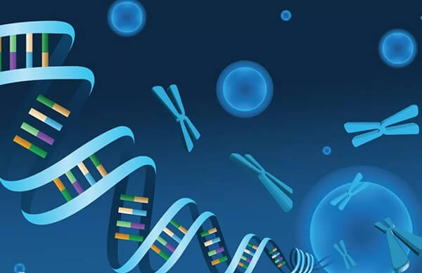 性染色体异常怎么办