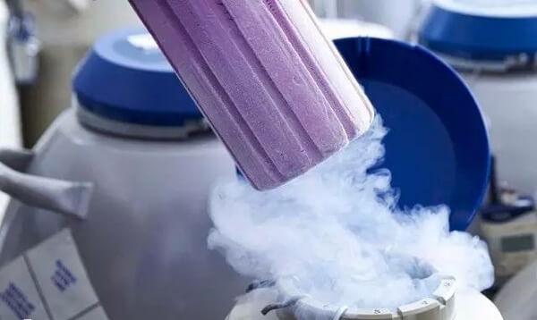 为什么要冷冻胚胎