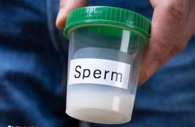 取精室的显示屏有什么内容