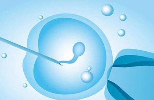 一代试管婴儿为什么男孩多