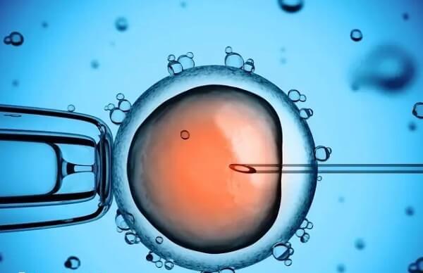 试管婴儿移植前一个月可不可以拔牙