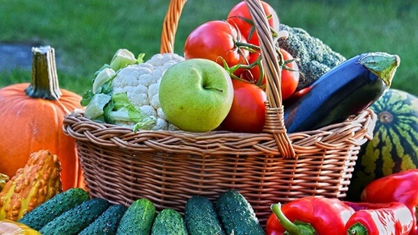 试管移植后第一天吃点什么好