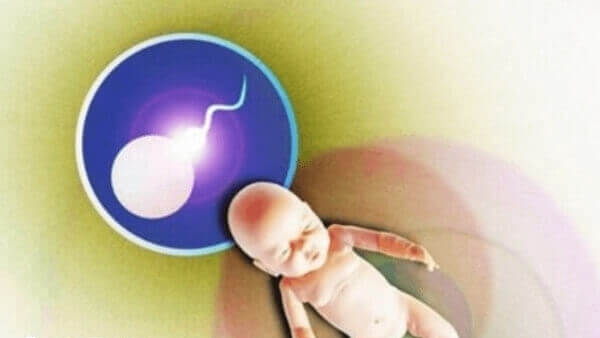 确认胚胎移植放置位置的方法除了超声引导还有什么？