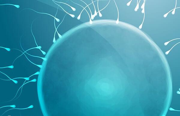 人工授精的分类有哪些