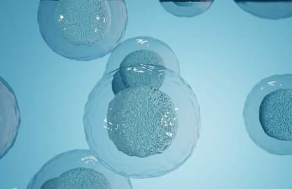 试管婴儿cos方案是什么意思