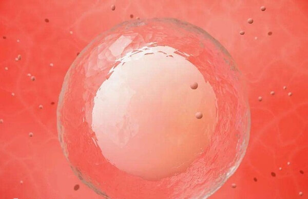 重庆供卵试管成功率多少