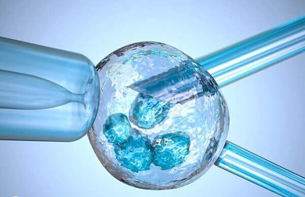 达菲林效果好还是贝依好