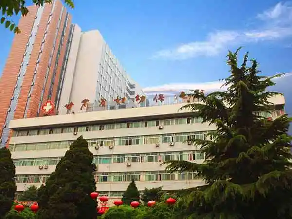 兰大一院供卵试管婴儿成功率多少