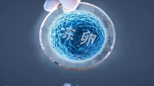杭州冻卵费用多少